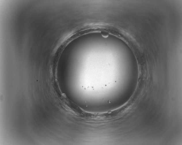 X0000067871261200604131227