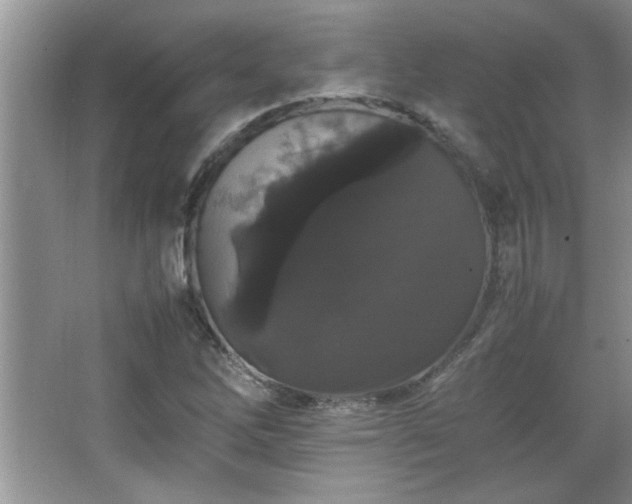 X0000067871262200604131227