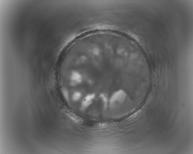 X0000067871263200604131227