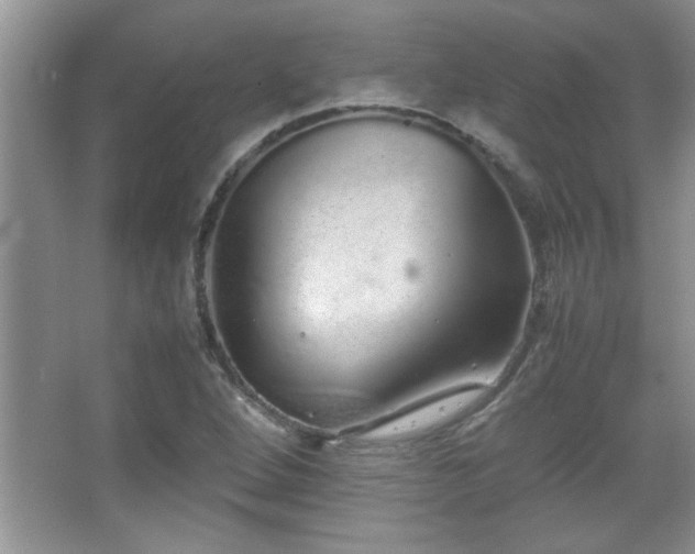 X0000067871264200604131227