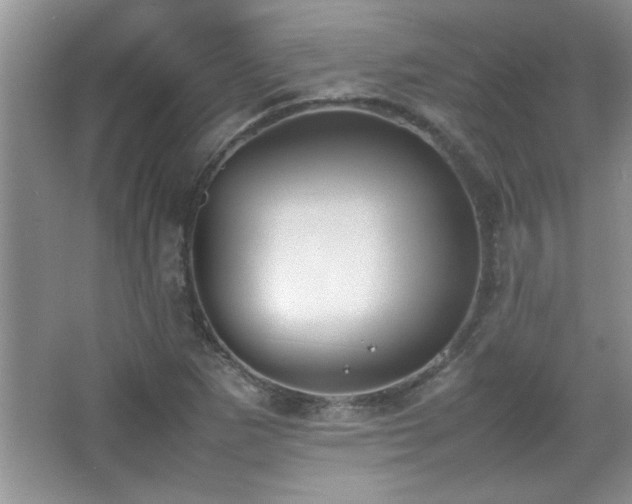 X0000067871265200604131227