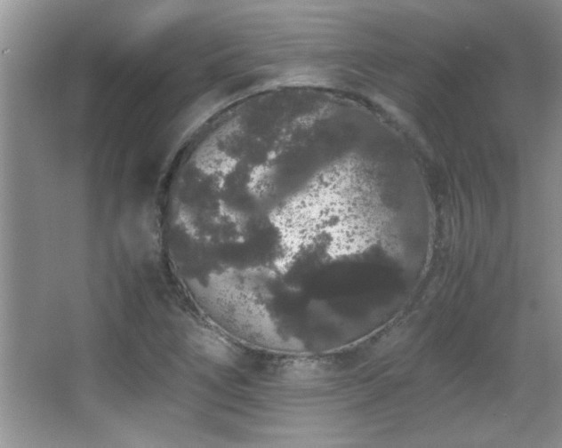 X0000067871266200604131227