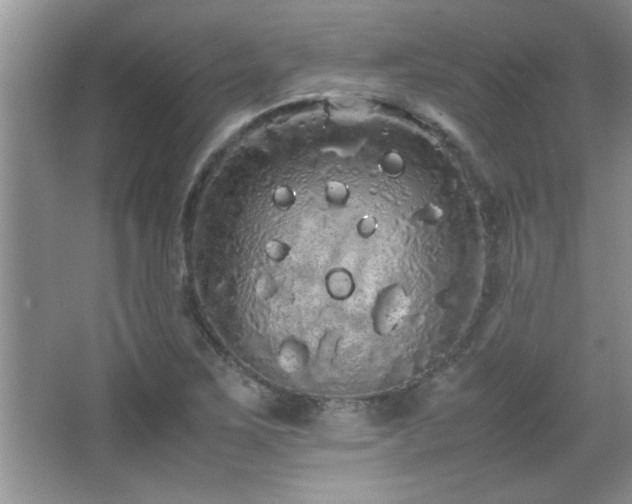 X0000067871267200604131227