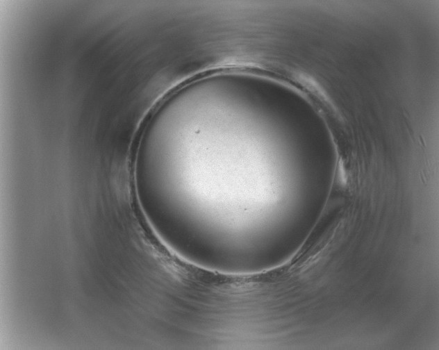 X0000067871268200604131227