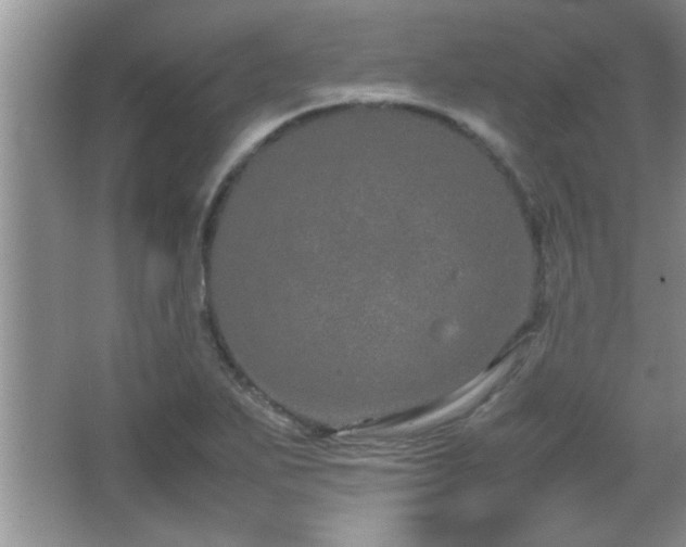 X0000067871271200604131227