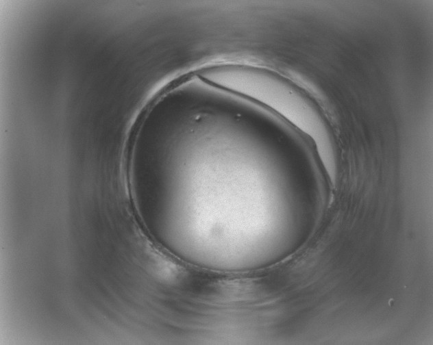 X0000067871272200604131227