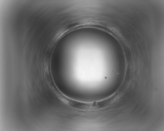 X0000067871273200604131227