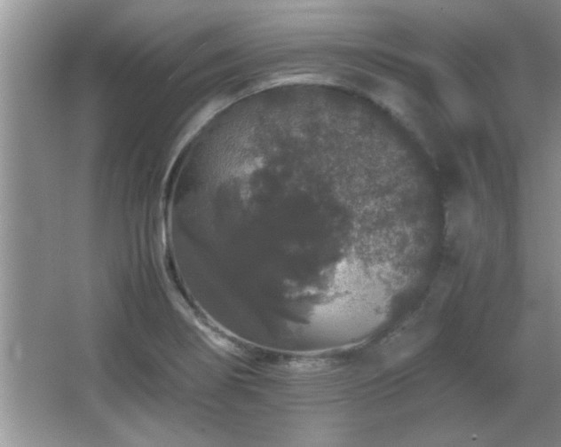 X0000067871274200604131227