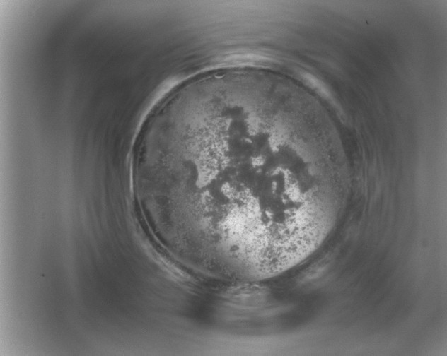 X0000067871275200604131227