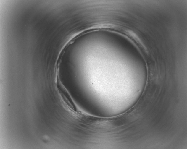 X0000067871276200604131227