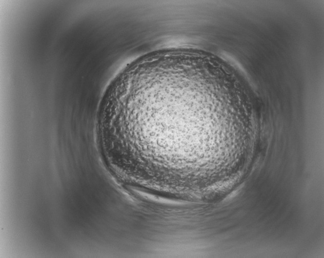 X0000067871277200604131226