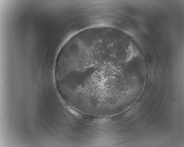 X0000067871278200604131226