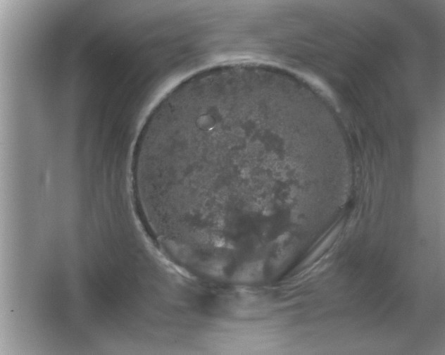 X0000067871279200604131226