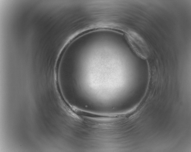 X0000067871280200604131226