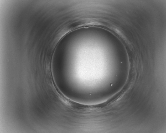 X0000067871281200604131226