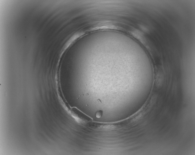 X0000067871282200604131226