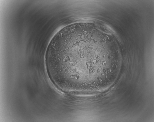 X0000067871283200604131226