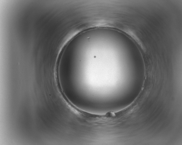 X0000067871285200604131226