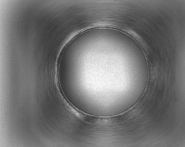 X0000067871286200604131226