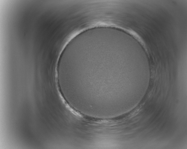 X0000067871287200604131226