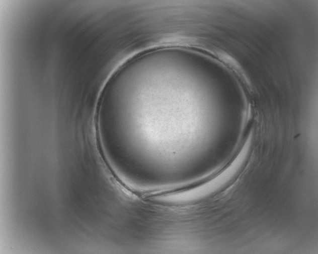 X0000067871288200604131226