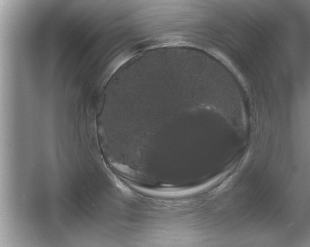 X0000067871289200604131226