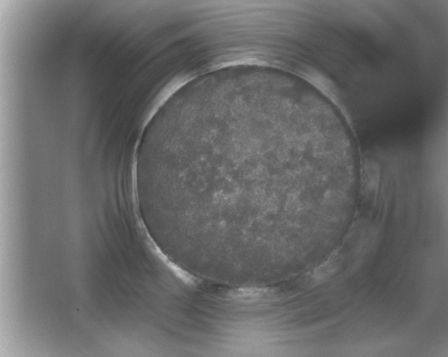 X0000067871290200604131226