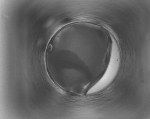 X0000067871291200604131226