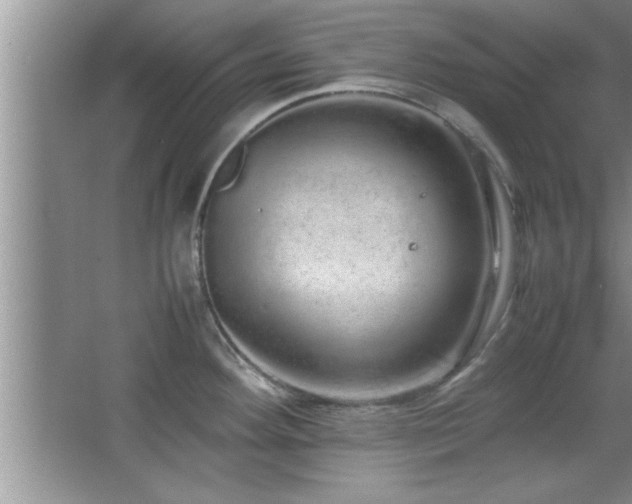 X0000067871292200604131226