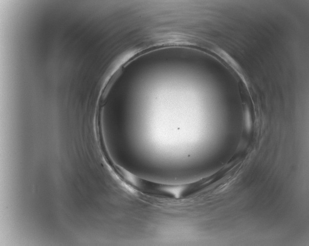 X0000067871293200604131226