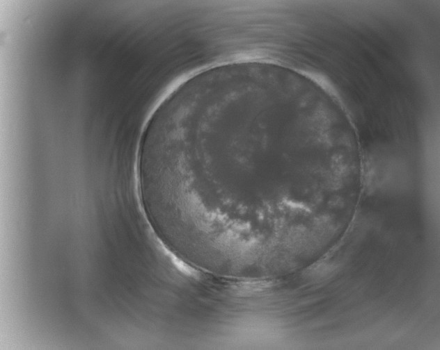 X0000067871294200604131226