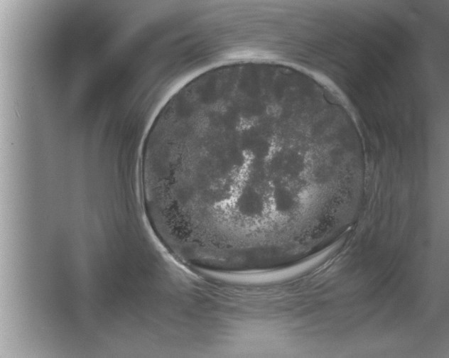 X0000067871295200604131226