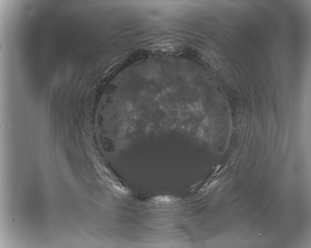 X0000067871297200604131225