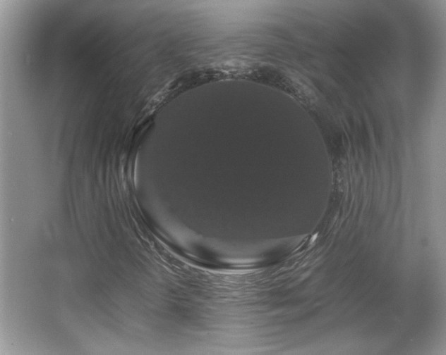 X0000067871298200604131225