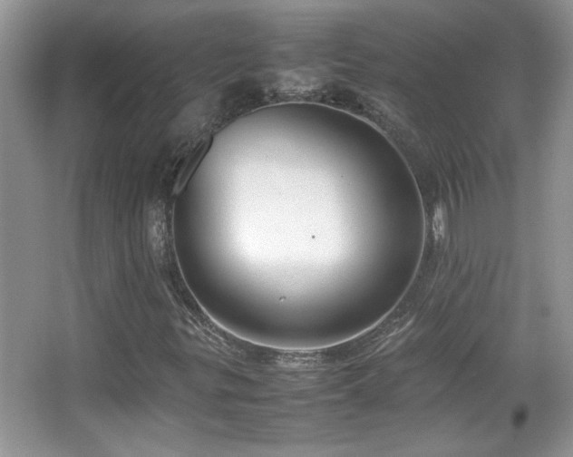 X0000067871299200604131225