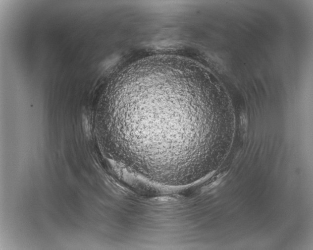 X0000067871300200604131225