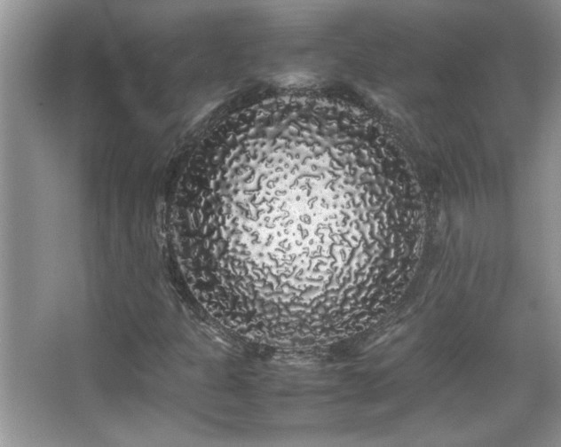 X0000067871301200604131225