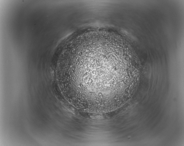 X0000067871302200604131225