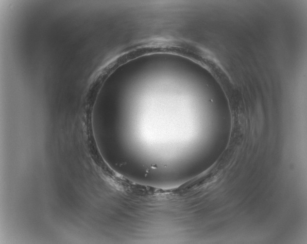 X0000067871304200604131225