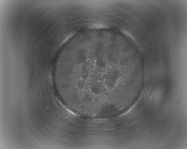 X0000067871305200604131225