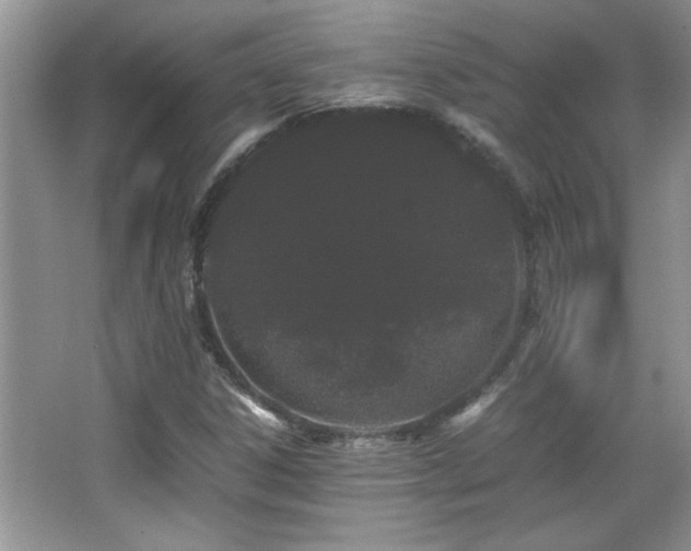 X0000067871306200604131226