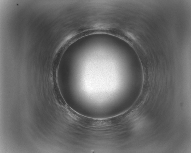 X0000067871307200604131226