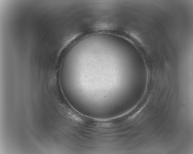 X0000067871309200604131226