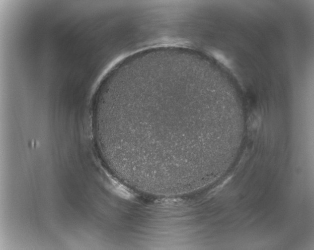 X0000067871310200604131226