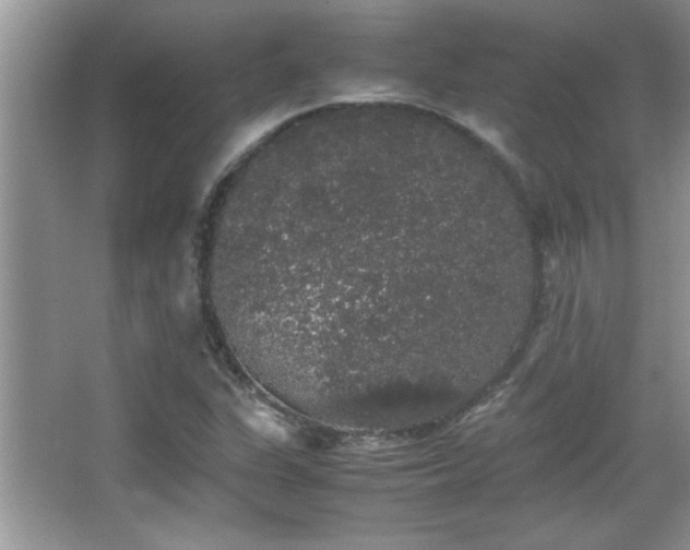 X0000067871311200604131226