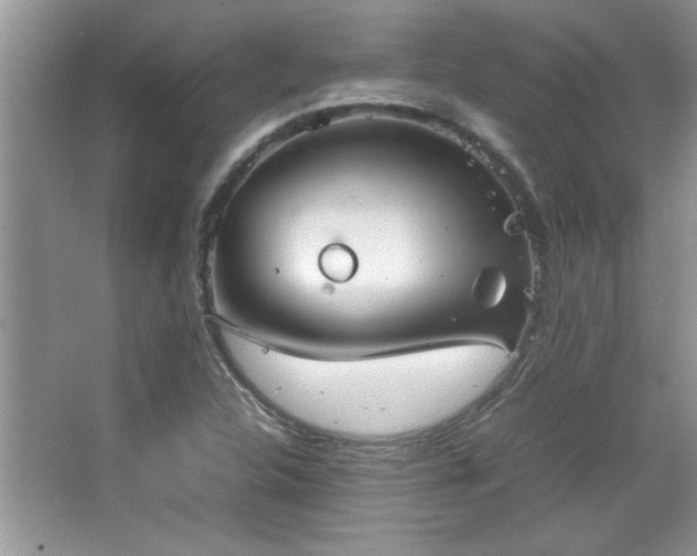 X0000067871312200604131226