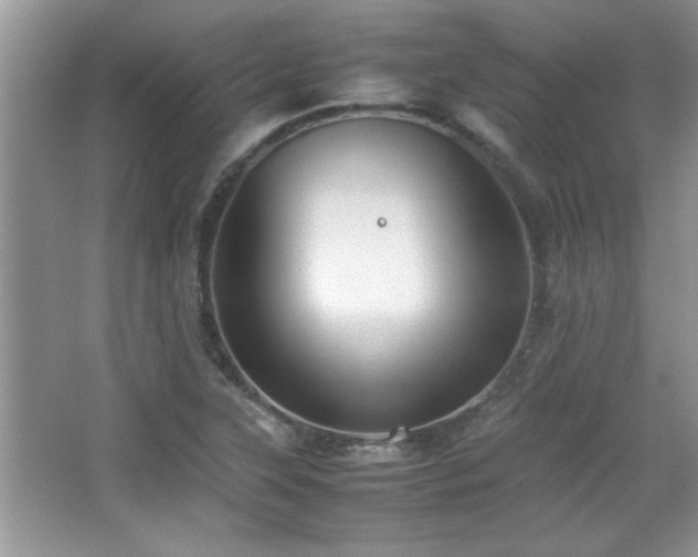 X0000067871315200604131226