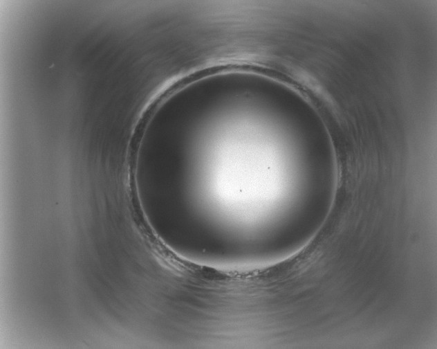 X0000067871316200604131226