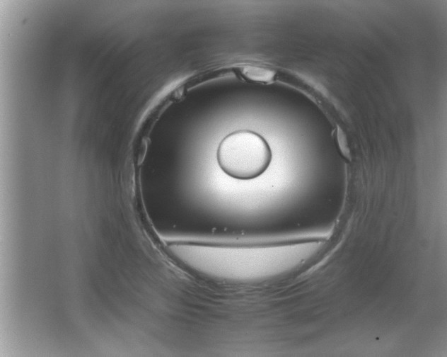 X0000067871317200604131226