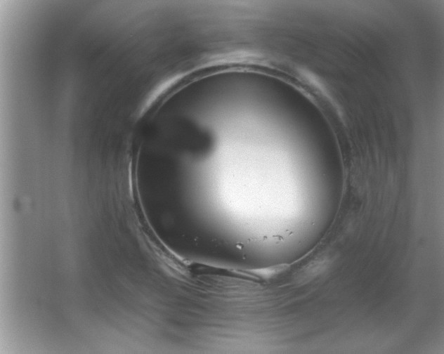 X0000067871320200604131226